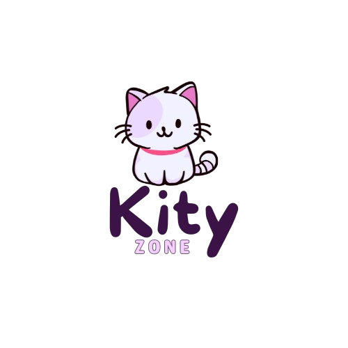 @ 2024 kity Zone 